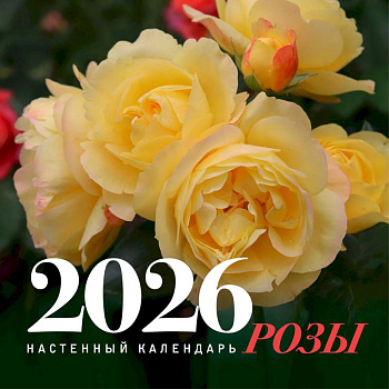 Розы. Настенный календарь на 2026 год
