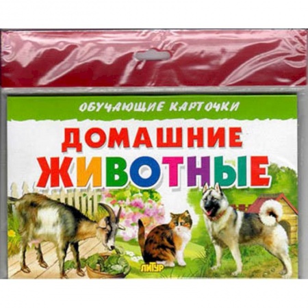 Познавательная литература, книга Домашние животные