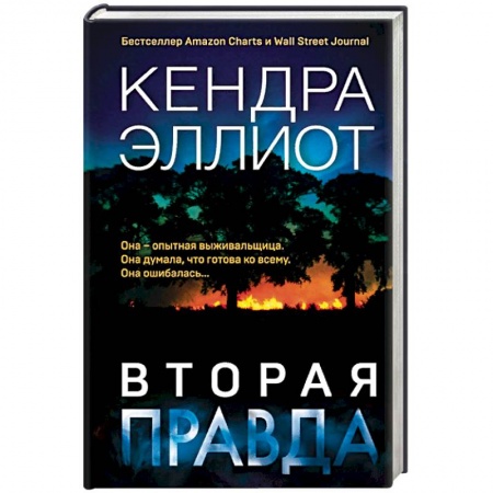Детективы, триллеры, книга Вторая правда