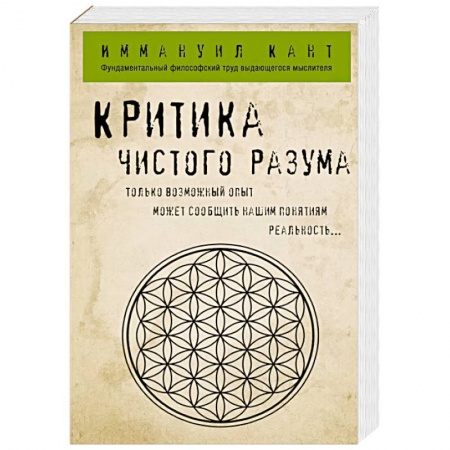 Общественные и гуманитарные науки, книга Критика чистого разума