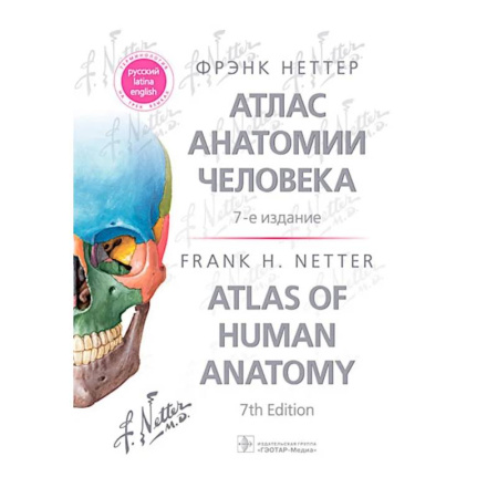 Медико-биологические дисциплины, книга Атлас анатомии человека. 7-е изд