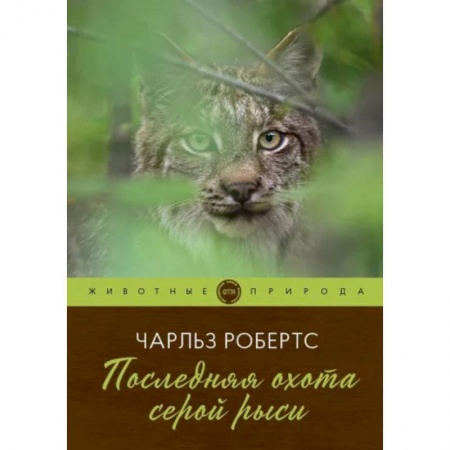 Проза для детей, книга Последняя охота серой рыси