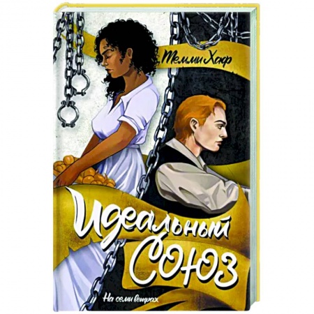 Любовный роман, книга Идеальный союз