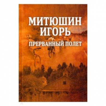 Классика, современная литература, книга Митюшин Игорь: прерванный полет