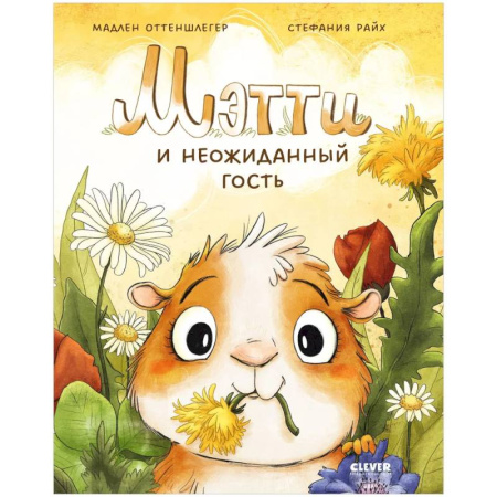 Сказки, книга Мэтти и неожиданный гость