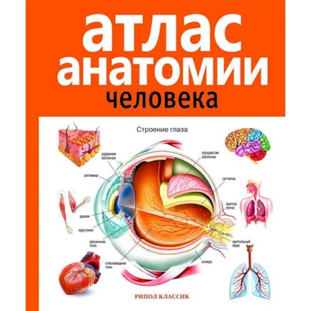 Студентам и аспирантам, книга Атлас анатомии человека