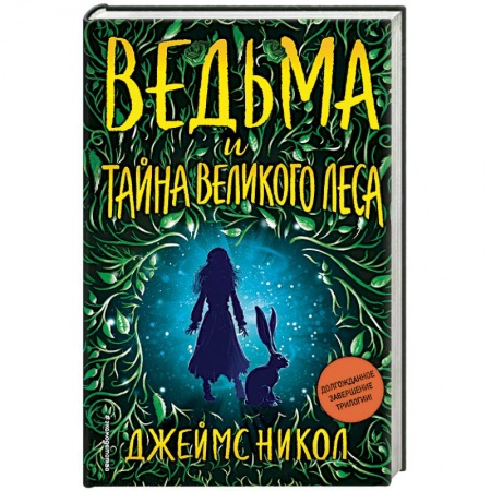 Проза для детей, книга Ведьма и тайна Великого леса