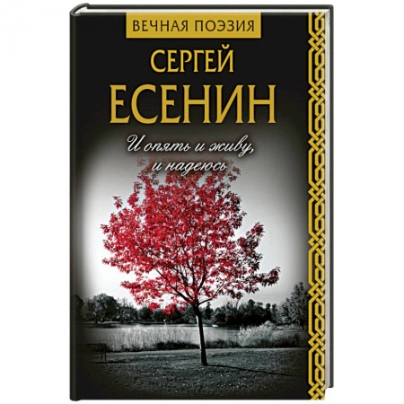 Классика, современная литература, книга И опять и живу, и надеюсь