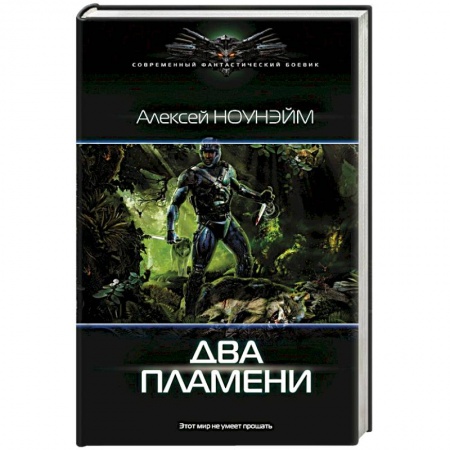 Фантастика, фэнтези, книга Два пламени