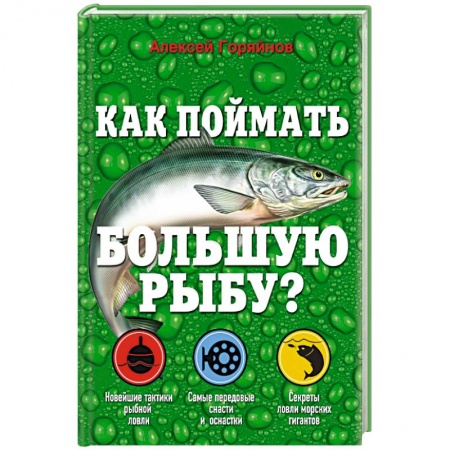 Книги, книга Как поймать большую рыбу?