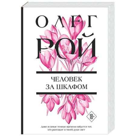 Любовный роман, книга Человек за шкафом