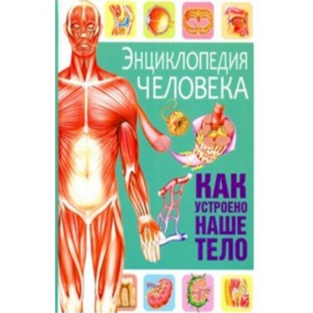 Познавательная литература, книга Энциклопедия человека. Как устроено наше тело