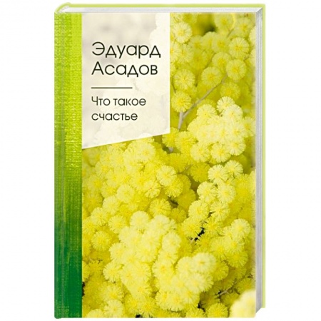 Классика, современная литература, книга Что такое счастье