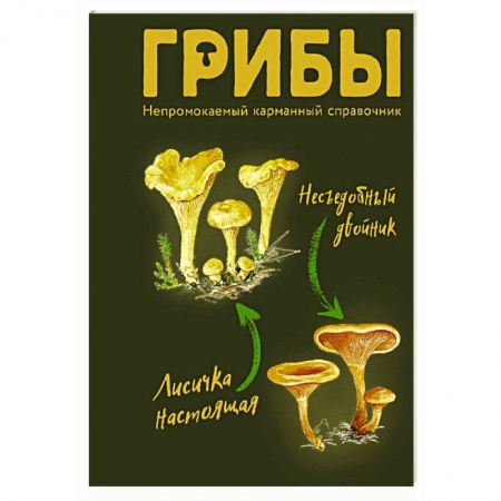 Охота. Рыбалка. Собирательство, книга Грибы. Непромокаемый карманный справочник