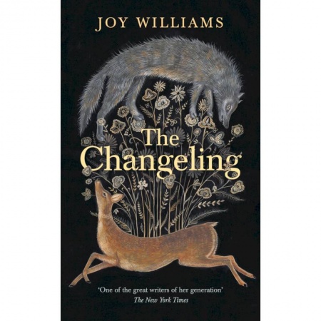 Классика, современная литература, книга Подменыш