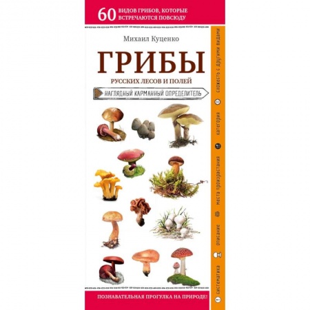 Охота. Рыбалка. Собирательство, книга Грибы русских лесов и полей
