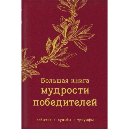 Развлечения. Праздники. Юмор, книга Большая книга мудрости победителей