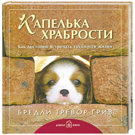 Книги, книга Капелька храбрости. Как достойно встречать трудности жизни