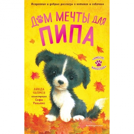 Проза для детей, книга Дом мечты для Пипа