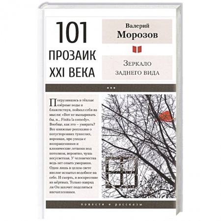 Классика, современная литература, книга Зеркало заднего вида