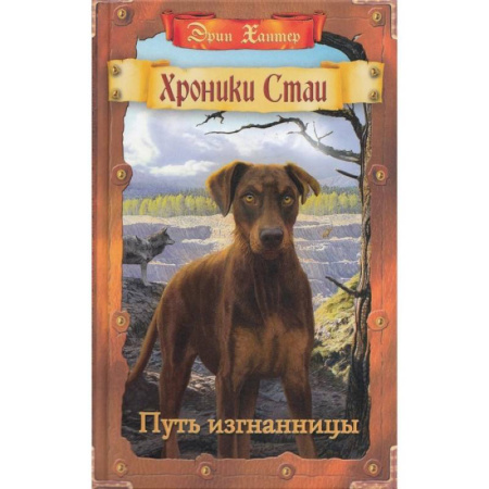 Проза для детей, книга Путь изгнанницы