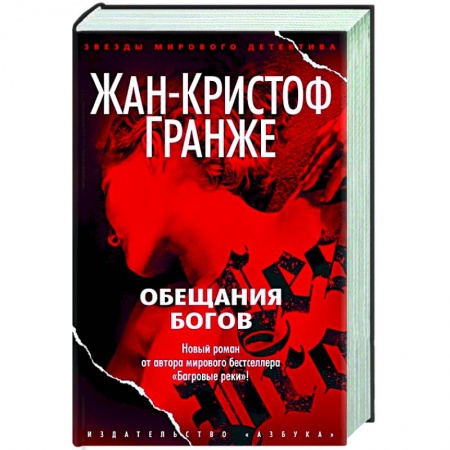Детективы, триллеры, книга Обещания богов