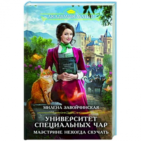 Фантастика, фэнтези, книга Университет Специальных Чар. Маэстрине некогда скучать