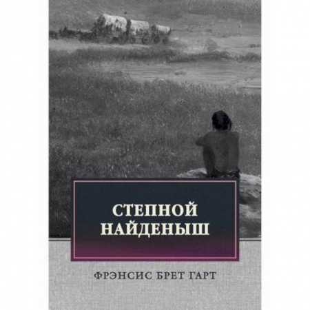 Классика, современная литература, книга Степной найденыш