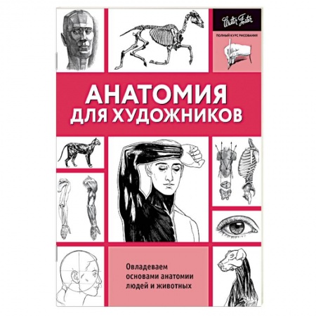 Рисование, живопись, книга Анатомия для художников
