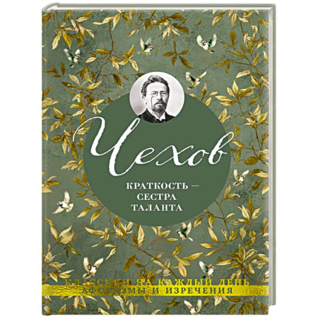 Классика, современная литература, книга Краткость-сестра таланта