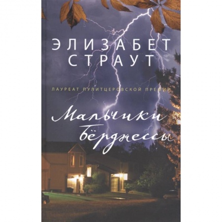 Классика, современная литература, книга Мальчики Бёрджессы