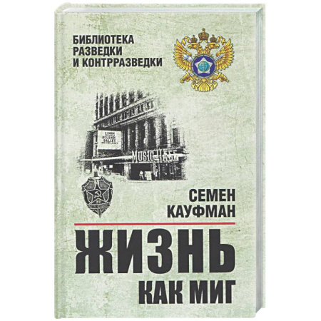 Мемуары, биографии, книга Жизнь как миг