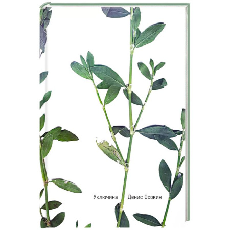 Классика, современная литература, книга Уключина