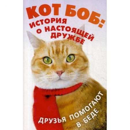 Проза для детей, книга Кот Боб: история о настоящей дружбе (комплект из 2-х книг)