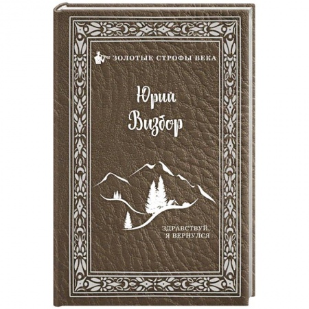 Классика, современная литература, книга Здравствуй, я вернулся