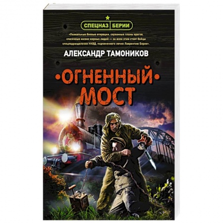 Детективы, триллеры, книга Огненный мост