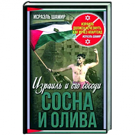 История войн, книга Сосна и олива. Израиль и его соседи
