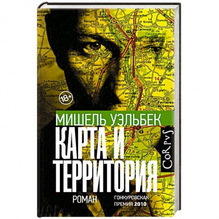 Классика, современная литература, книга Карта и территория