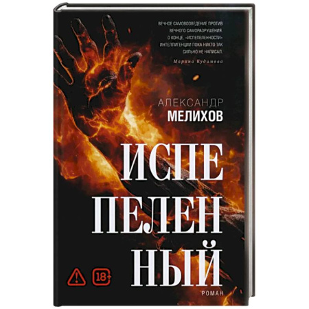 Классика, современная литература, книга Испепеленный