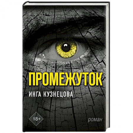 Фантастика, фэнтези, книга Промежуток