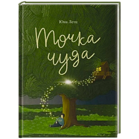 Классика, современная литература, книга Точка чуда