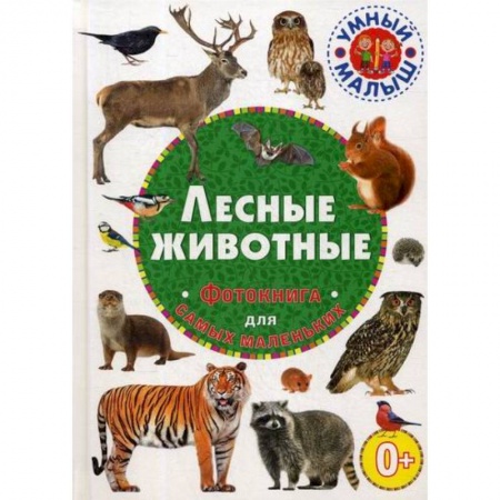 Познавательная литература, книга Лесные животные