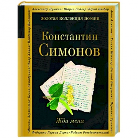 Классика, современная литература, книга Жди меня