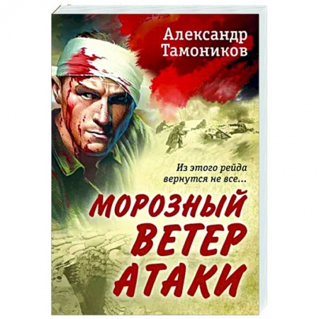 Детективы, триллеры, книга Морозный ветер атаки