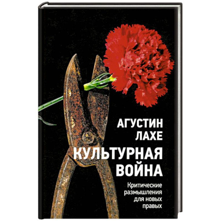 Публицистика, книга Культурная война: Критическое размышление