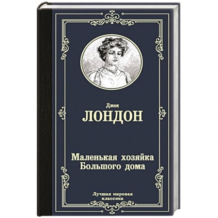 Классика, современная литература, книга Маленькая хозяйка Большого дома