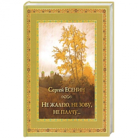 Классика, современная литература, книга Не жалею, не зову, не плачу…
