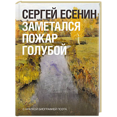 Классика, современная литература, книга Заметался пожар голубой