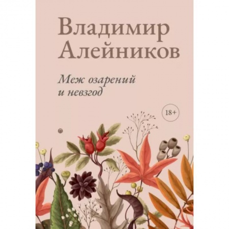 Классика, современная литература, книга Меж озарений и невзгод