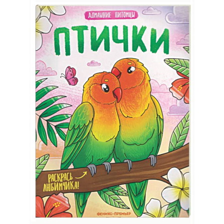 Досуг, творчество и кулинария, книга Птички: книжка-раскраска